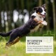 Etikett für REAVET Wurmholz-Mix, ein 20g Ergänzungsmittel für Hunde, das Zutaten wie Wermut und Oregano auflistet, mit Fütterungsempfehlungen.