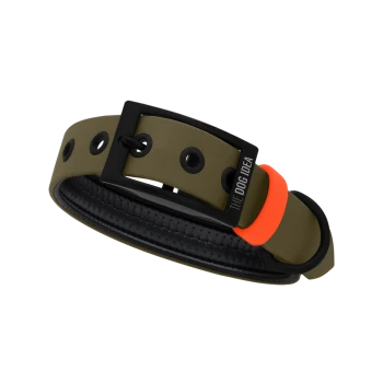 Ein stilvolles Hundehalsband in Olivgrün mit einer schwarzen Schnalle und einem orangefarbenen Akzent, mit dem Text 'THE DOG IDEA.'