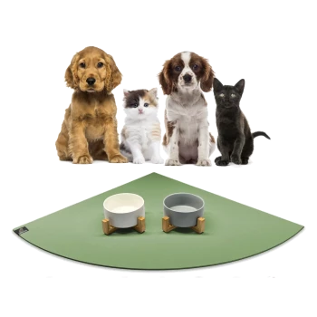 Eine Gruppe von vier Haustieren, darunter zwei Hunde, eine Katze und ein schwarzes Kätzchen, sitzt auf einer grünen Fütterungsmatte mit zwei stilvollen Futterschalen.