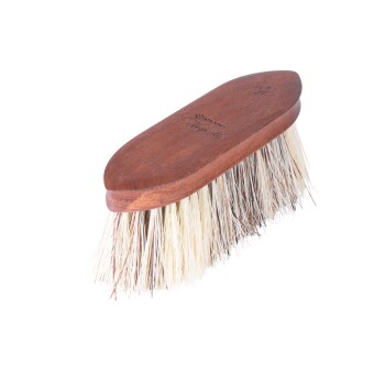 Eine hölzerne Haustierpflegebürste mit weichen Borsten, entworfen zum Bürsten von Fell, mit einem glatten Griff und natürlicher Farbe.