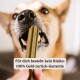 Eine Nahaufnahme des Gesichts eines Hundes, der eifrig einen Kauknochen hält, mit dem Text darunter: 'Für dich besteht kein Risiko: 100% Geld-zurück-Garantie.'