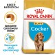 Torba z karmą dla szczeniąt Royal Canin Puppy Cocker z złotym cocker spaniel, z tekstem podkreślającym żywienie rasy i wsparcie odporności.