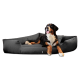 Großer schwarzer, brauner und weißer Hund liegt auf einem grauen gepolsterten Tierbett mit erhöhten Seiten vor schwarzem Hintergrund.