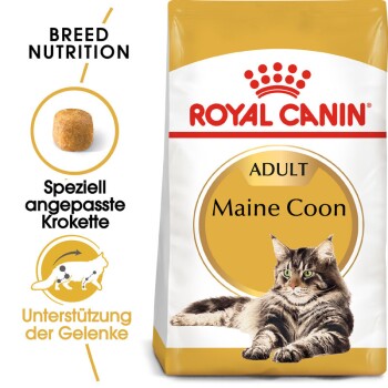 Maine Coon Adulte Croquettes Chat 10 kg