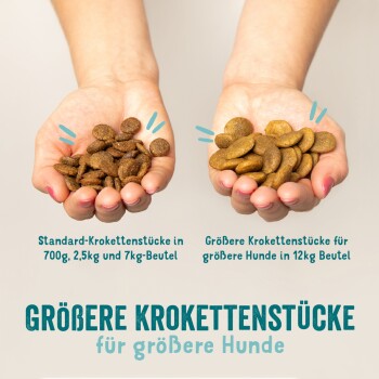 Zwei Hände halten Hundefutter: links mit Standardstücken, rechts mit größeren Stückchen. Text hebt Größen und Verpackungsoptionen hervor.