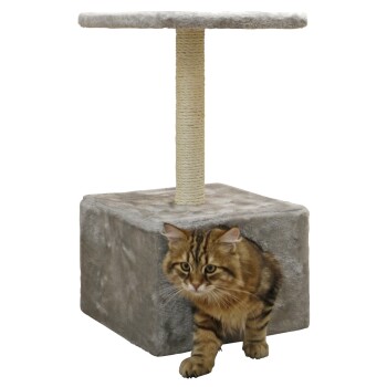 Braun getigerte Katze, die aus einem grauen Plüsch-Katzenhaus mit Sisal-umwickeltem Kratzpfosten und oberer Plattform hervorkommt.