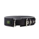 Schwarzes Hundehalsband mit gepolstertem Innenraum, Metall-D-Ring und silberner Schnalle, mit einem grünen und gelben Hunter-Logo.