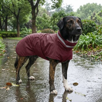Ein Hund, der einen kastanienbraunen Regenmantel mit reflektierenden Streifen trägt, steht vor einem weißen Hintergrund und zeigt seine stilvolle Haustierbekleidung.