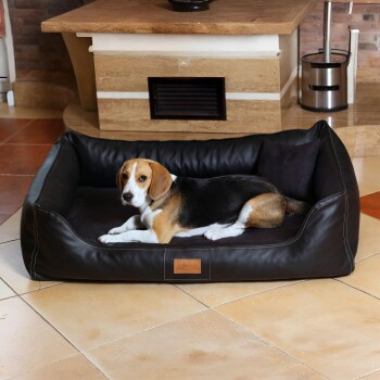 Beagle liegt auf einem schwarzen Leder-Haustierbett mit kleinem Kissen, das auf einem gefliesten Boden in einem gemütlichen Raum steht.