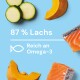 Bild zeigt Lachsstücke, Zucchinischeiben und Kürbis auf einem hellblauen Hintergrund, mit dem Text "87% Lachs" und "Reich an Omega-3."