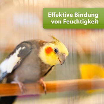 Nymphensittich mit gelbem und orangefarbenem Gesicht, der in einem Käfig sitzt, mit deutschem Text "Effektive Bindung von Feuchtigkeit" in grünem Kasten.