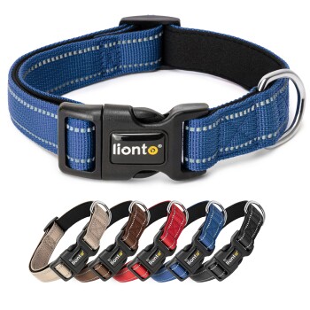 Blaues Haustierhalsband mit einer schwarzen Schnalle und einem silbernen D-Ring, mit dem Markennamen "lionto" auf der Schnalle.