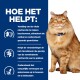 Een fluffy oranje kat met een blauwe halsband zit tegen een blauwe achtergrond met tekst over huisdiervoeding ter ondersteuning van de nierfunctie en gezondheid.