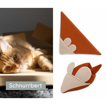 Oranger Tigerkater liegt links in einer Kiste; rechts zwei orange‑beige dreieckige Katzenspielzeuge; Bildunterschrift: ‚Schnurrbert‘