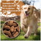 Ein hell beschichteter Hund frisst aus einer Edelstahlschüssel, mit braunem Futter in einem Ausschnitt. Der Text spricht über Huhn und Fett für die Gesundheit.