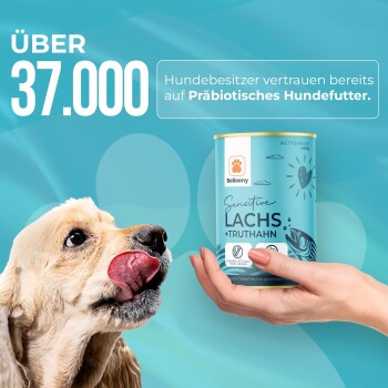 Ein glücklicher Hund leckt sich die Lippen neben einer Hand, die Balloony's Sensitive Salmon & Turkey Hundefutter hält, mit Vertrauensschriftzug auf Deutsch.