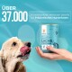 Ein glücklicher Hund leckt sich die Lippen neben einer Hand, die Balloony's Sensitive Salmon & Turkey Hundefutter hält, mit Vertrauensschriftzug auf Deutsch.