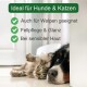 Ein Hund und eine Katze, die zusammen auf dem Boden ruhen, mit dem Text: 'Ideal für Hunde & Katzen' und Vorteilen wie 'Auch für Welpen' und 'Fellpflege.'