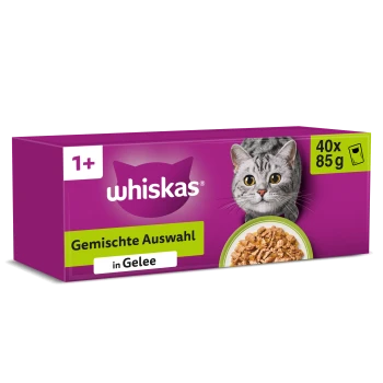Whiskas lila Multipack-Box zeigt Katzenfoto, Schale mit Nassfutter und Text 'Gemischte Auswahl in Gelee', '40x 85 g', '1+'.