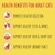 Infographic on health benefits for adult cats: aids digestion, teeth, bones, skin, coat, and urinary tract on a yellow background.
