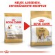 Bild von zwei Tüten Royal Canin Beagle Hundefutter, das ein neues Design auf der rechten Seite zeigt. Der Text lautet: "NEUES AUSSEHEN, UNVERÄNDERTE REZEPTUR."