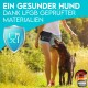 Eine Frau in einem weißen Tanktop und Jeansshorts führt einen braunen Hund auf einer grasbewachsenen Fläche. Der Text lautet: "Ein gesunder Hund dank LFGB geprüfter Materialien."