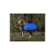 Ein braunes Pferd mit einer leuchtend blauen Decke galoppiert über ein grasbewachsenes Feld, umgeben von Bäumen im Hintergrund.