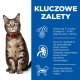 Kot tabby z zielonymi oczami i czerwonym kołnierzykiem siedzi obok niebieskiej tablicy z korzyściami dla zdrowia skóry, serca i mięśni.