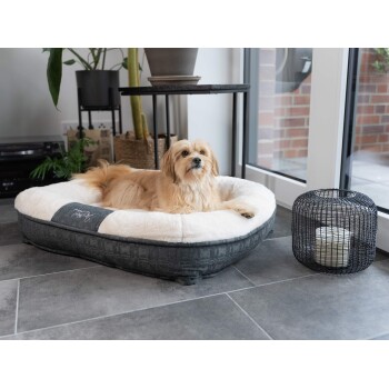 Ein gemütliches Hundebett mit einem weichen, plüschigen Innenraum, belegt von einem goldenen Hund, steht auf einem gefliesten Boden neben einem dekorativen Kerzenhalter.