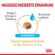 Massgeschneiderte Ernährung für Yorkshire Terrier, mit einem rehydratierbaren Futter mit Omega 3 & 6 Fettsäuren, Borretschöl und Biotin.
