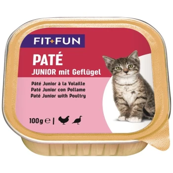 Junior Paté Geflügel 16x100 g Verpackung für Katzenfutter mit einer jungen Katze, beschriftet "FIT+FUN PATÉ JUNIOR mit Geflügel" mit Übersetzungen in Französisch und Spanisch, 100g.