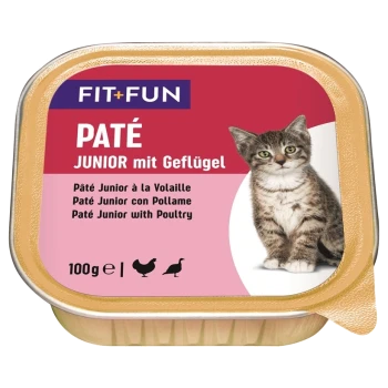 Verpackung für Katzenfutter mit einer jungen Katze, beschriftet "FIT+FUN PATÉ JUNIOR mit Geflügel" mit Übersetzungen in Französisch und Spanisch, 100g.