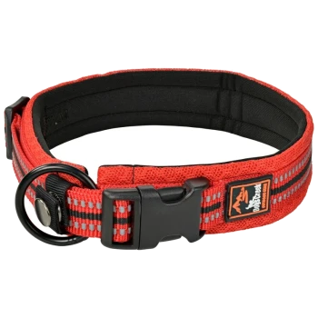 Rote Haustierhalsband mit reflektierenden Streifen, verstellbarem Schnallenverschluss und metallischem D-Ring zur Leinenbefestigung.