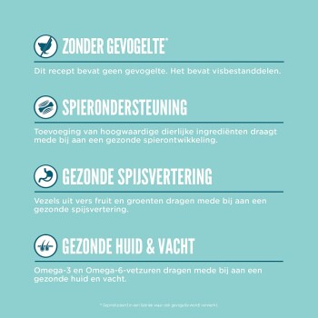 Hoogtepunten van huisdiervoeding: geen gevogelte, spierondersteuning, gezonde spijsvertering en gezonde huid & vacht, elk met korte uitleg.
