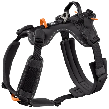 Schwarzes gepolstertes Hundegeschirr mit orangefarbenen Laschen, Metall-D-Ring und wiederholtem ‚HUNTER‘-Logo auf den Gurten.