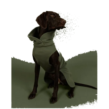 Olivgrüner Fleece-Hundemantel mit Bauchriemen, seitlicher Beinöffnung und schwarzem Label mit Aufdruck 'PA'