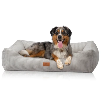 Hundebett aus Cord mit Handwebcharakter Olivia hellgrau XL Ein glücklicher Australian Shepherd Hund, der auf einem plüschigen, grauen Haustierbett mit strukturierter Oberfläche und einem kleinen Lederschild entspannt.