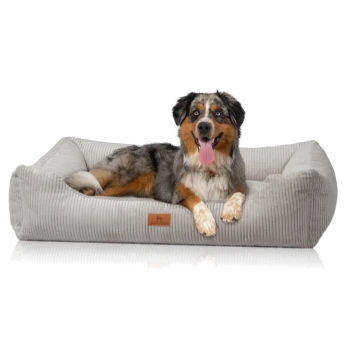 Ein glücklicher Australian Shepherd Hund, der auf einem plüschigen, grauen Haustierbett mit strukturierter Oberfläche und einem kleinen Lederschild entspannt.