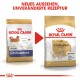 Bild von zwei Tüten Royal Canin Chihuahua Hundefutter, das ein neues Design und unveränderte Rezeptur zeigt, mit dem Text 'NEUES AUSSEHEN, UNVERÄNDERTE REZEPTUR.'