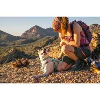 Eine Frau in einem rosa Tanktop und Wanderausrüstung sitzt auf felsigem Gelände und lächelt einen glücklichen Hund im Geschirr an, mit Bergen im Hintergrund.