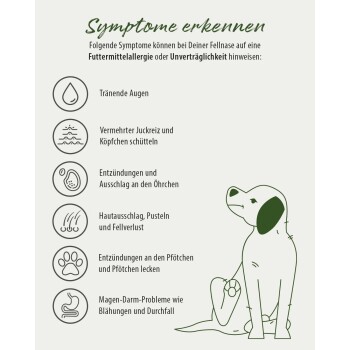 Illustration eines Hundes mit einer Liste von Symptomen, die auf Nahrungsmittelallergien oder -unverträglichkeiten hinweisen, einschließlich tränenden Augen und Hautproblemen.