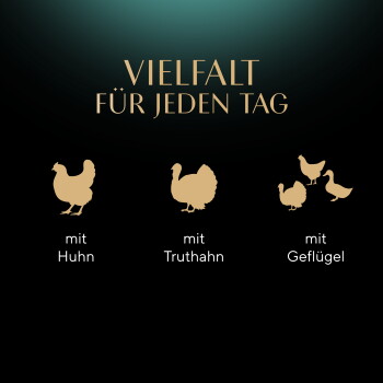 Goldene Geflügelsymbole auf dunklem Hintergrund mit dem Text ‚VIELFALT FÜR JEDEN TAG‘ und den Angaben ‚mit Huhn, mit Truthahn, mit Geflügel‘.