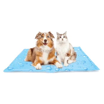 Ein Hund und eine Katze sitzen zusammen auf einer blauen Tiermatte mit einem Wassertropfendesign, das eine gemütliche Tierumgebung zeigt.