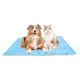 Ein Hund und eine Katze sitzen zusammen auf einer blauen Tiermatte mit einem Wassertropfendesign, das eine gemütliche Tierumgebung zeigt.