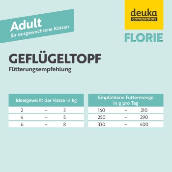 Fütterungsempfehlungen für Erwachsenen Katzenfutter, die ideale Gewichtsspannen (2-3 kg, 4-5 kg, 6-8 kg) und tägliche Futtermengen (160-400 g) detailliert.