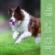 Ein Diagramm, das die täglichen Fütterungsmengen für Haustiere basierend auf dem Gewicht zeigt, mit Messungen für Hunde und Katzen sowie einer Schüssel mit Tabletten.