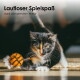 Schildpatt-Kätzchen stupst mit der Pfote an einen orangefarbenen Filzball; Bildtext: 'Lautloser Spielspaß' und 'dank dämpfendem Wollfilz'.