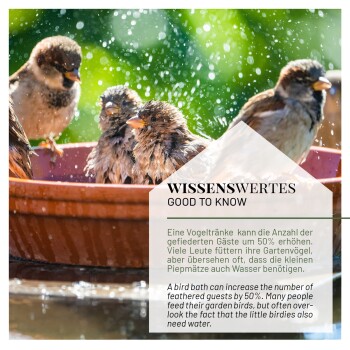 Spatzen planschen in einem sonnigen Vogelbad. Überlagerungstext lautet "WISSENSWERTES GOOD TO KNOW" über die Bedeutung von Wasser für Gartenvögel.