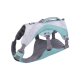 Ein hellblaues und graues Hundegeschirr mit verstellbaren Riemen und gepolstertem Design, mit einem Griff oben für einfache Kontrolle.