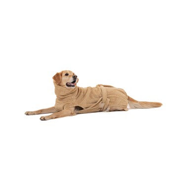 Ein Golden Retriever trägt einen weichen, beigen Handtuch-Roben und liegt bequem auf einem weißen Hintergrund.